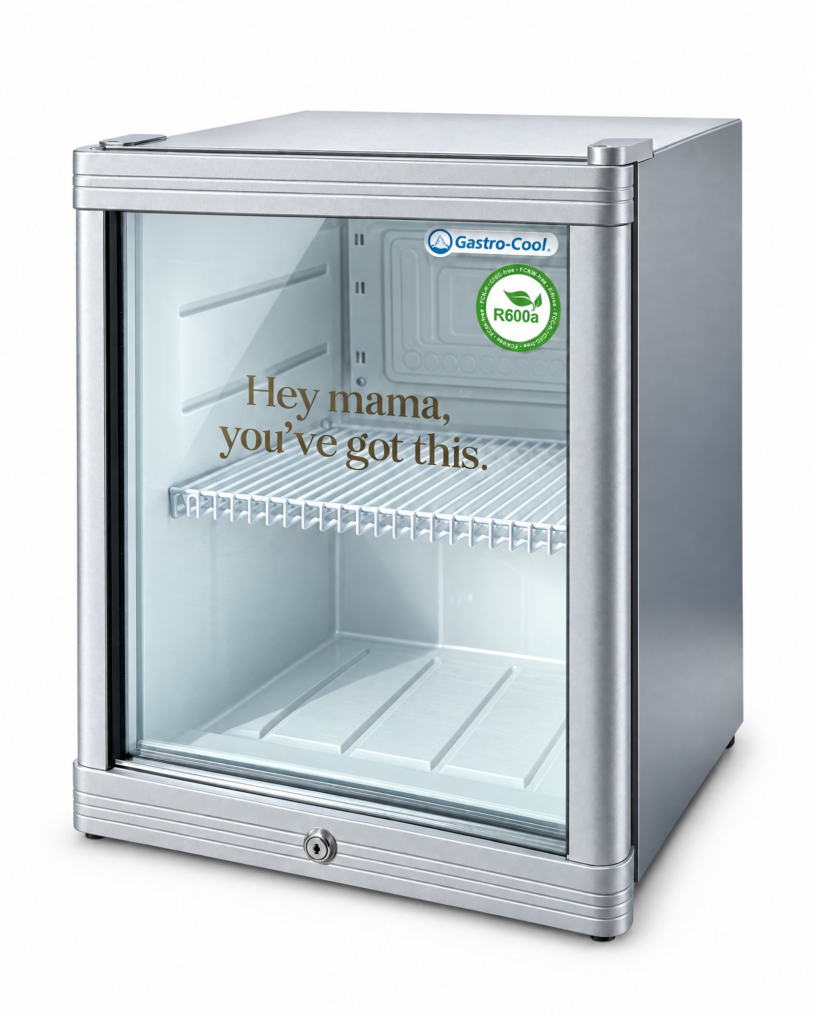 Lockable breast milk fridge